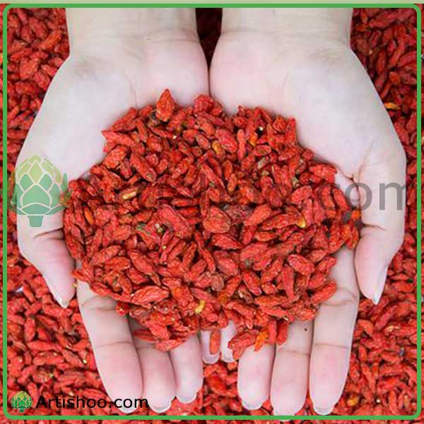 گوجی بری چیست