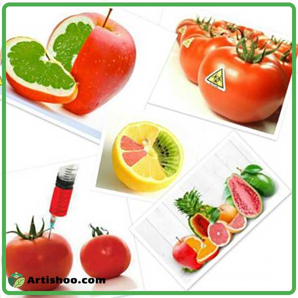 تشخیص محصولات تراریخته
